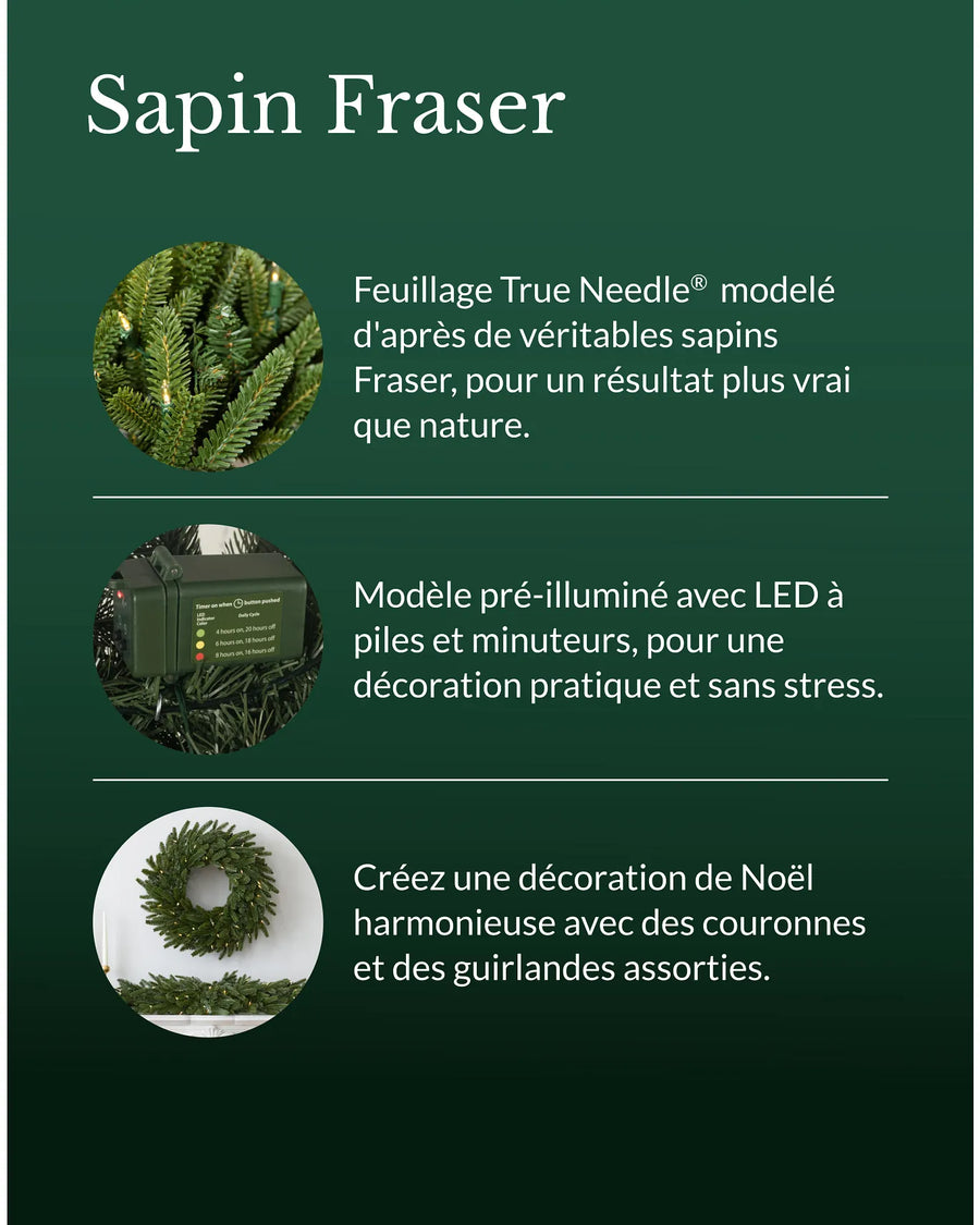 Courrone sapin Fraser