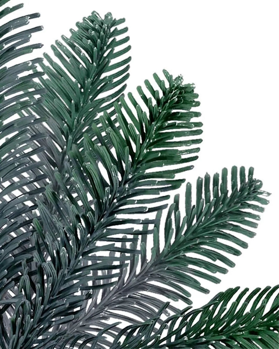 Couronne épinette blanche du Vermont