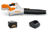 Souffleur À Main Stihl Bga 60 Pack Initial Avec Ak 30 + Al 101