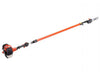 Tronçonneuse Sur Perche Echo Ppt 2620 Hes Avec 2 Chaines