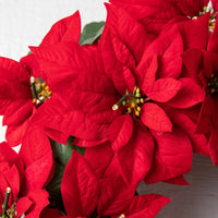 Couronne poinsettia